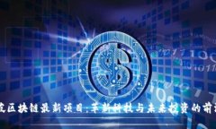 新加坡区块链最新项目：