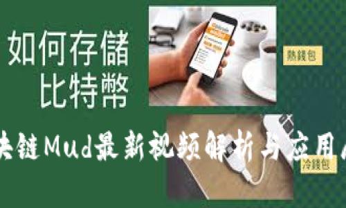 区块链Mud最新视频解析与应用展望