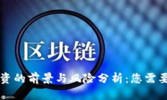 区块链币投资的前景与风