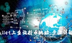 如何在tpWallet上查询持币地