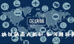 2023年最新区块链骗局大揭