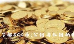 文章 : 深入了解SCC币：公